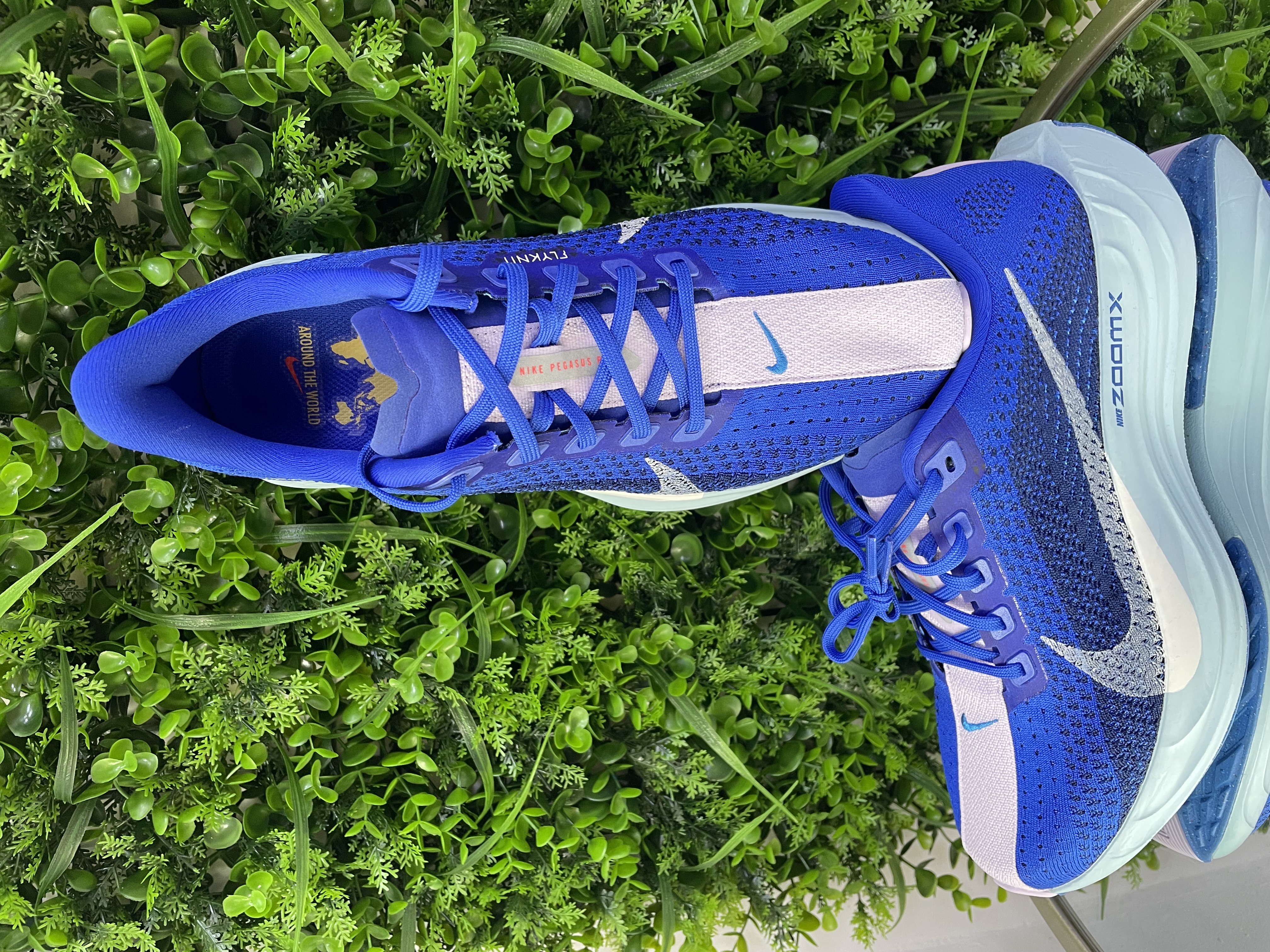 Nike Pegasus Plus PRM